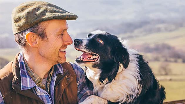 AXA Farm Insurance